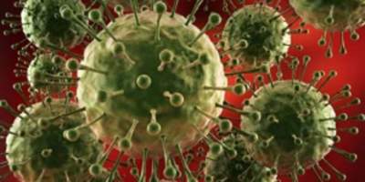 Эпидемия смерти: ученые обеспокоены новым вирусом гриппа