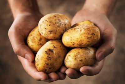 Об этих полезных свойствах картошки мало кто знает