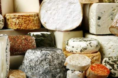 Названы самые полезные для здоровья виды сыра
