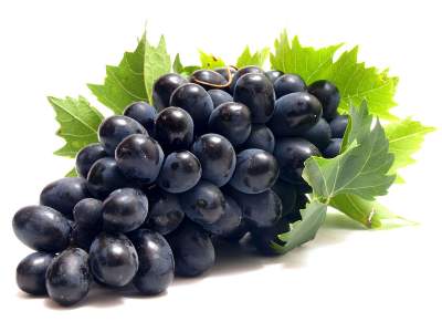 Ученые обнаружили новое полезное свойство винограда