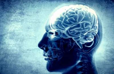 Ученые подсказали, как спастись от преждевременного старения мозга